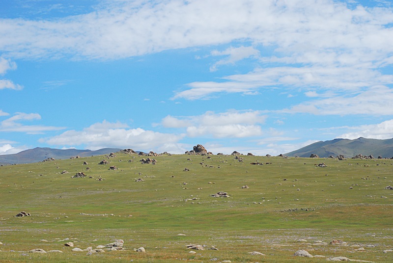DSC_0242.JPG