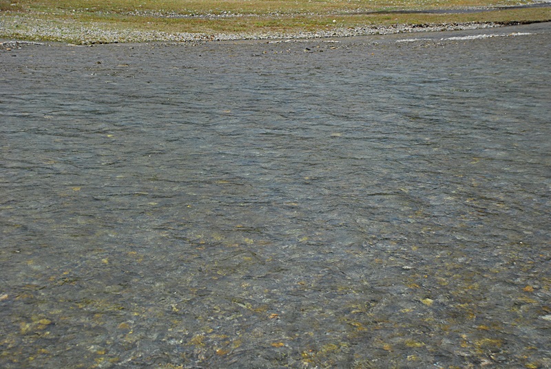 DSC_0027.JPG