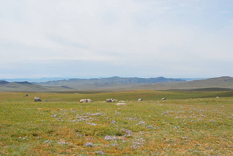 DSC_0230.JPG