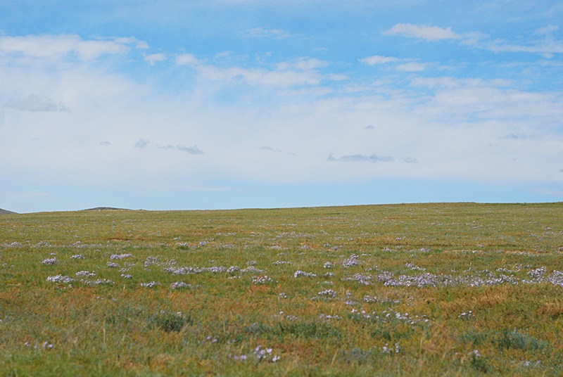 DSC_0233.JPG