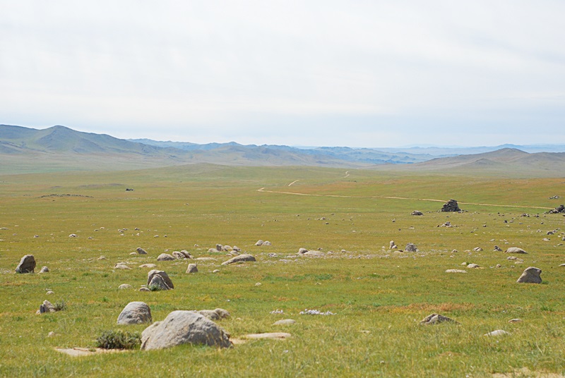 DSC_0246.JPG