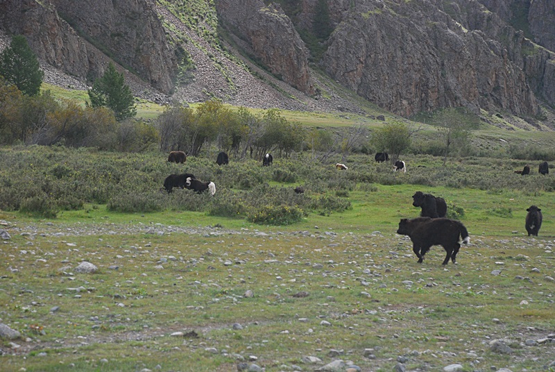 DSC_0744.JPG