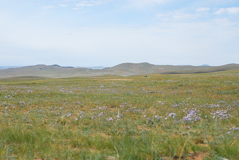 DSC_0232.JPG