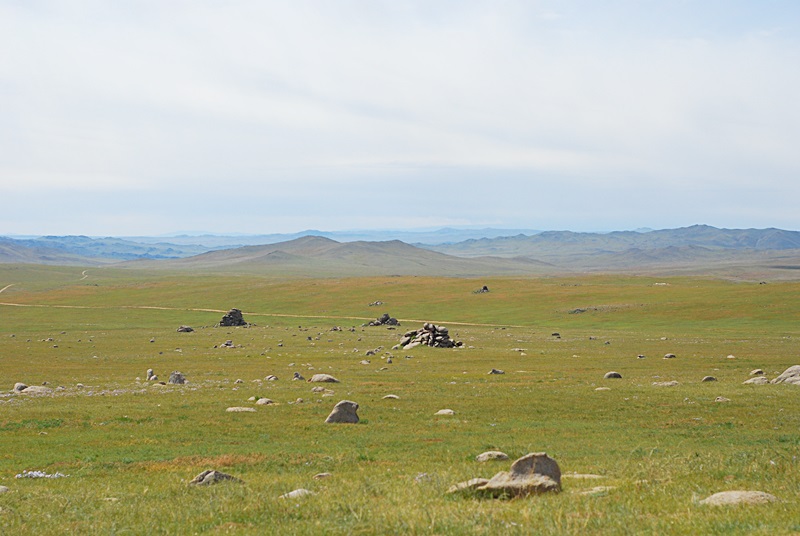 DSC_0247.JPG