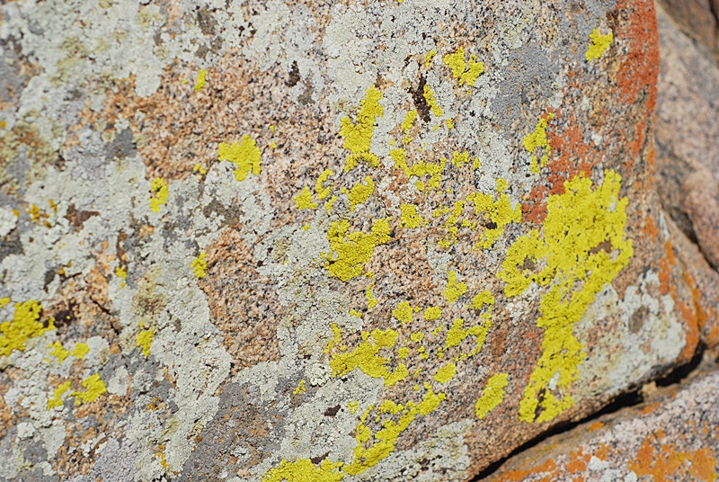 DSC_0239.JPG