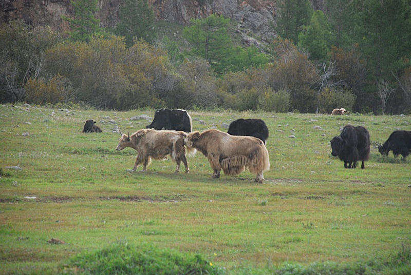 DSC_0756.JPG