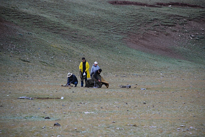 DSC_0133.JPG
