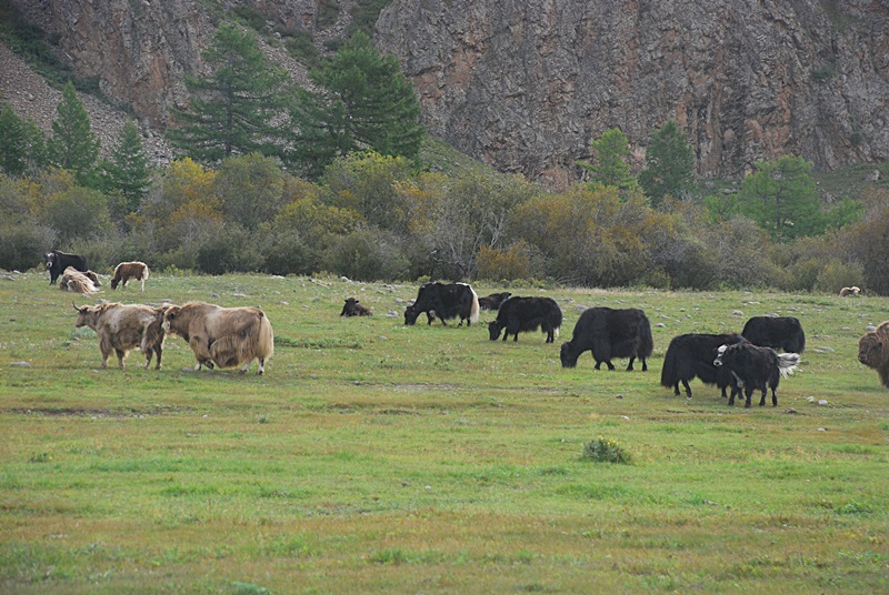 DSC_0758.JPG