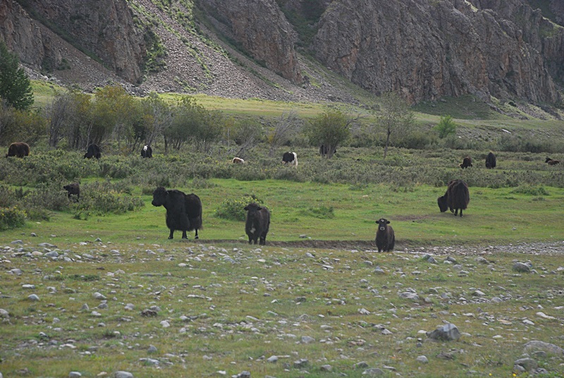 DSC_0745.JPG