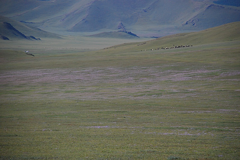 DSC_0210.JPG