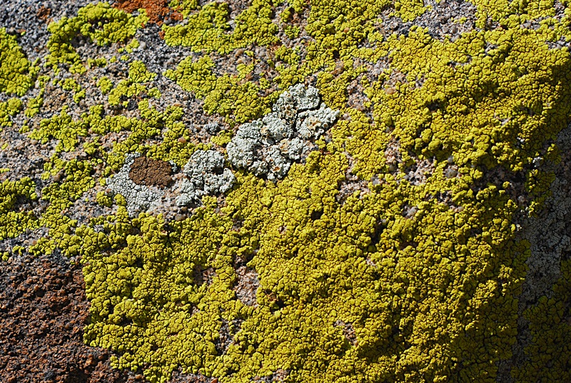 DSC_0274.JPG