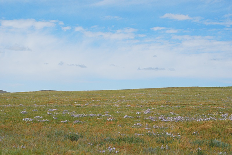 DSC_0234.JPG