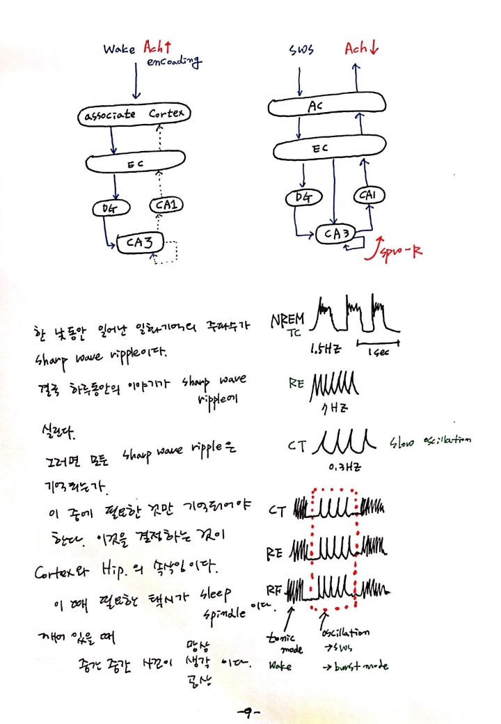 슬라이드9.JPG