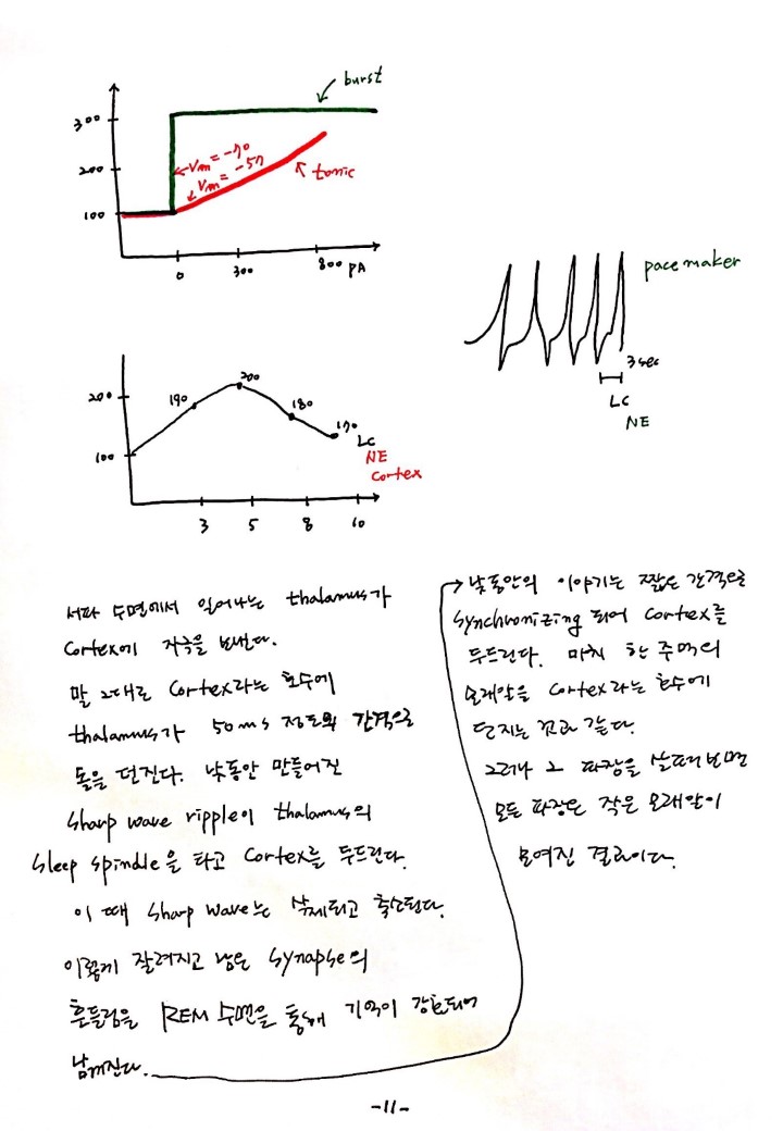 슬라이드11.JPG