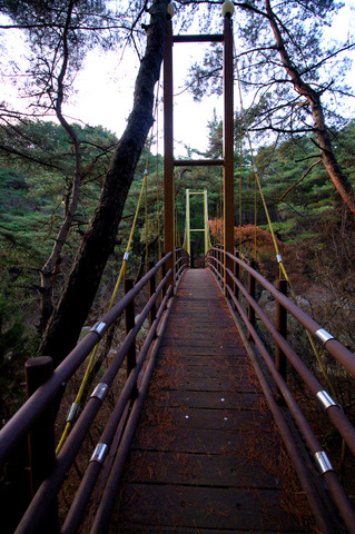 IMGP7177.JPG