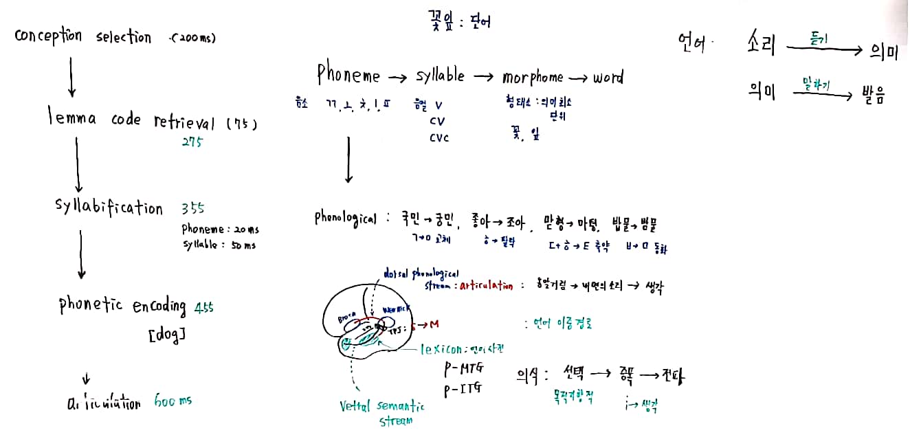 20-44 과학리딩_4.jpg