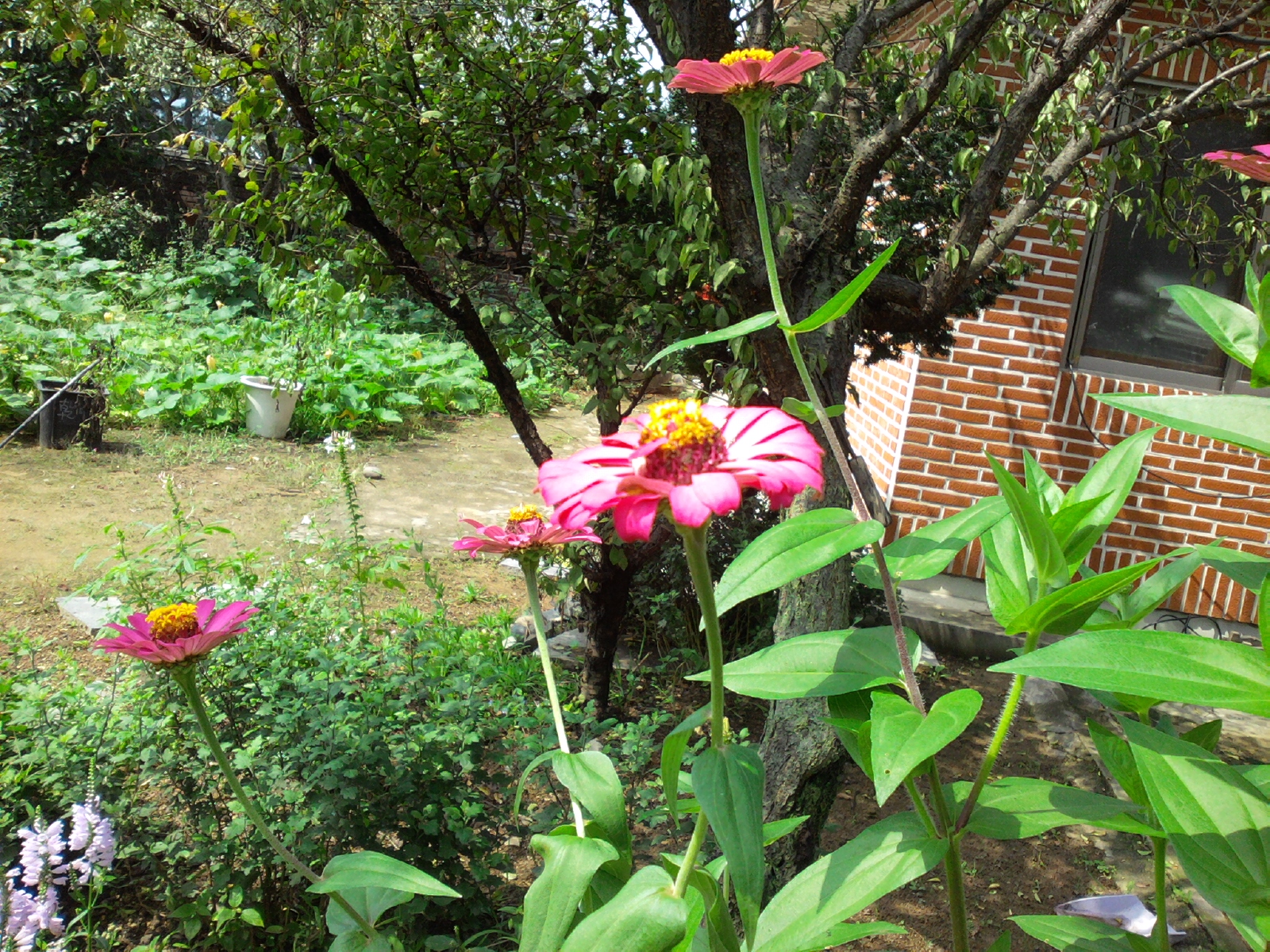 Photo512.jpg