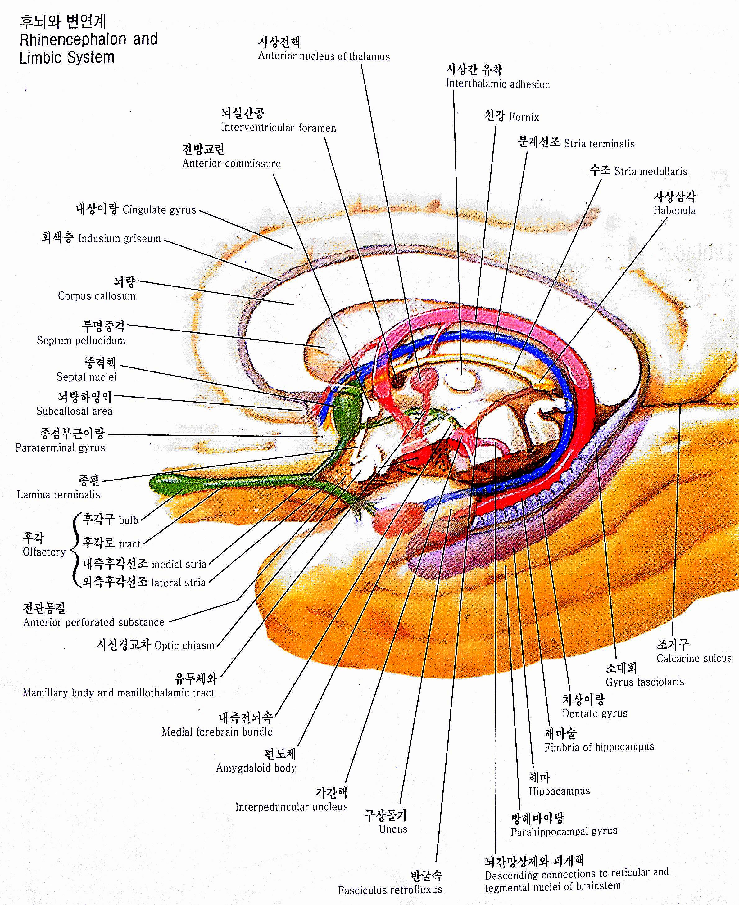 1-2012-11-19_14-45-49_569.jpg