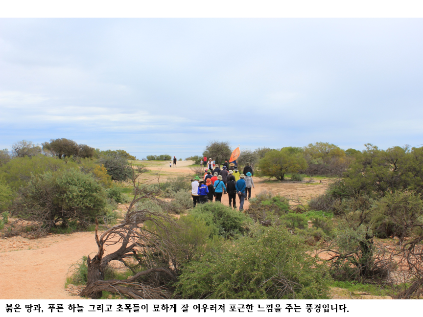 슬라이드40.PNG