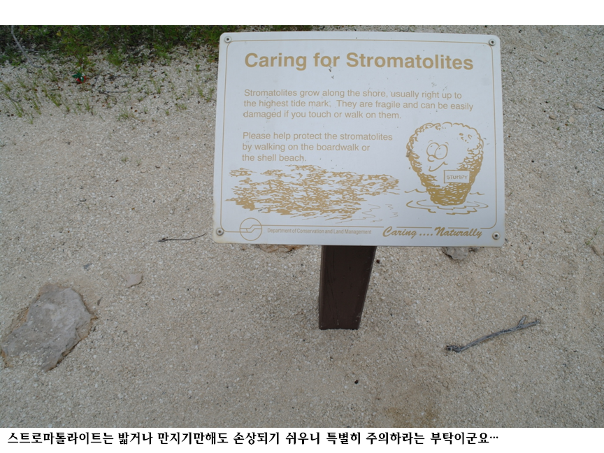 슬라이드57.PNG