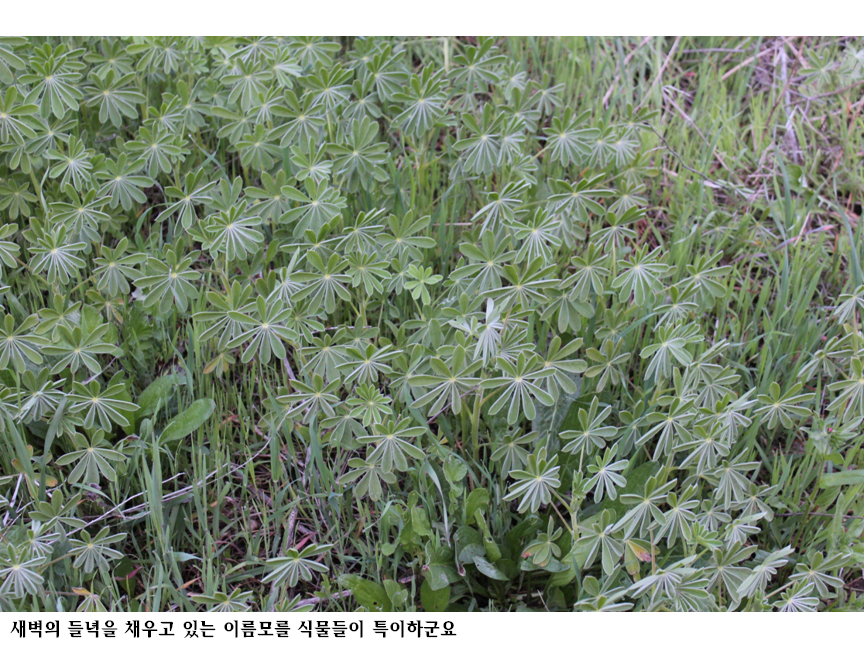슬라이드12.PNG