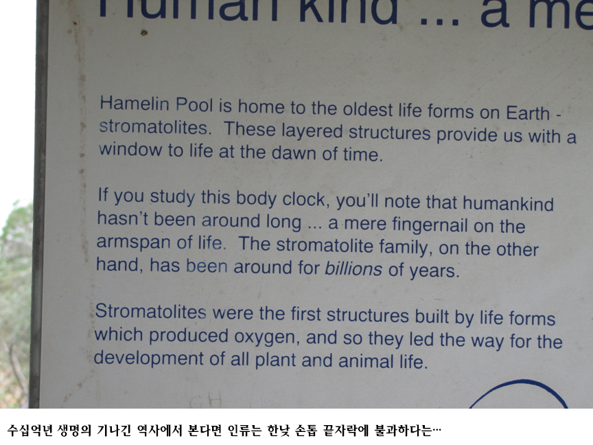 슬라이드84.PNG