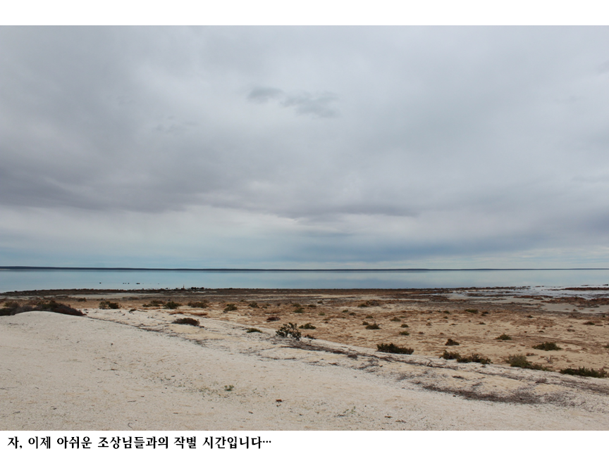 슬라이드83.PNG