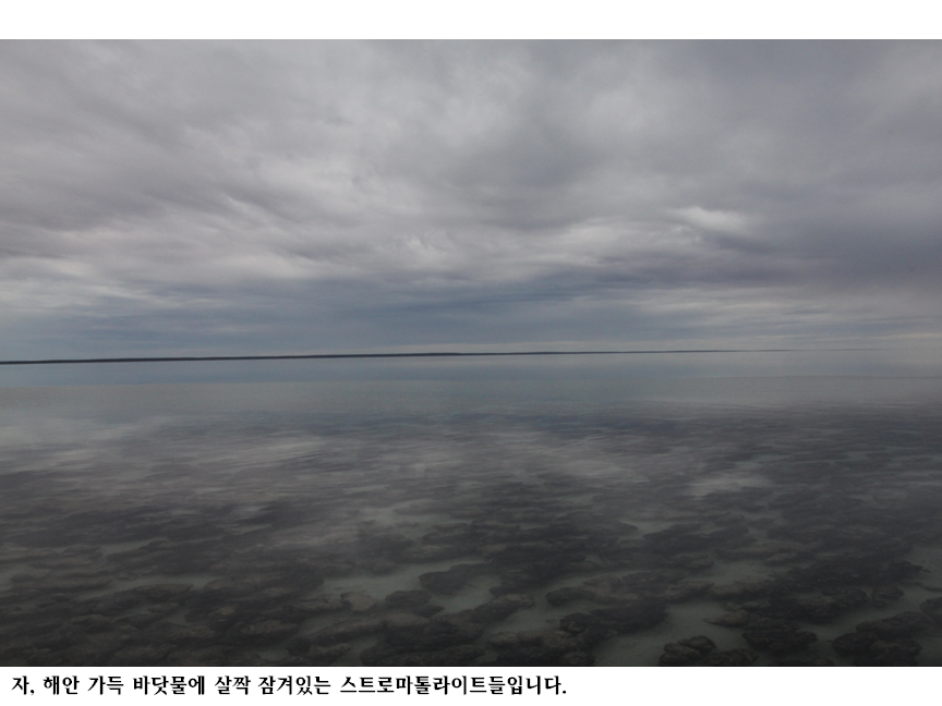 슬라이드56.PNG
