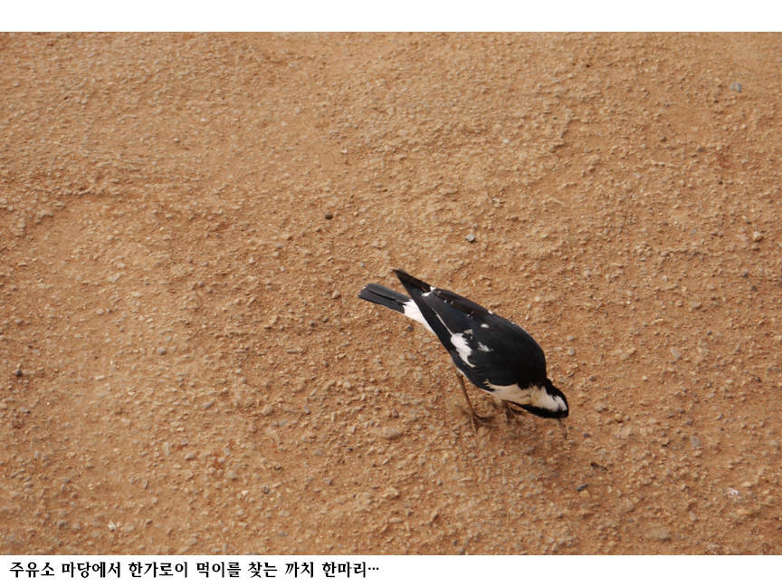 슬라이드100.PNG