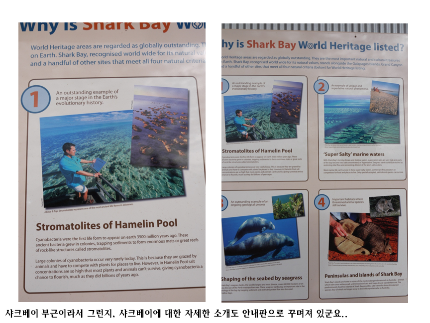 슬라이드24.PNG