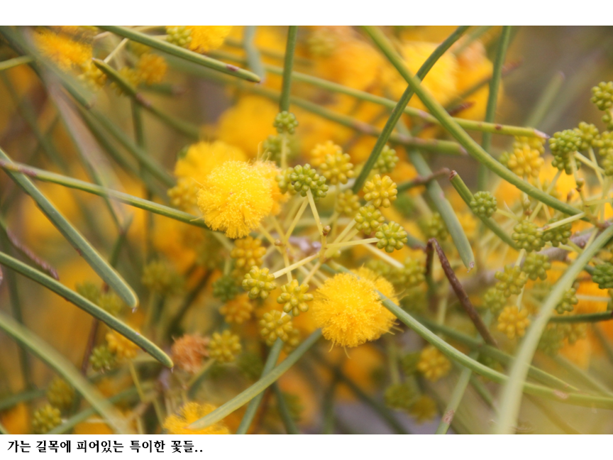 슬라이드42.PNG