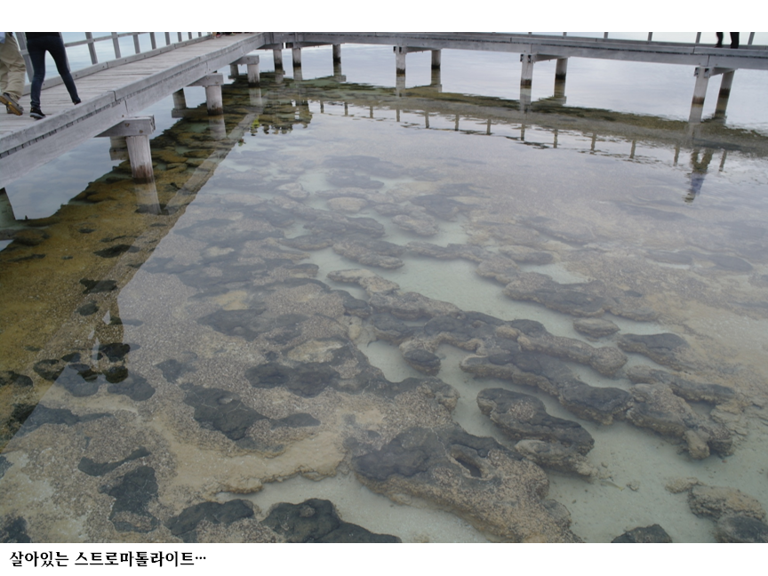 슬라이드60.PNG