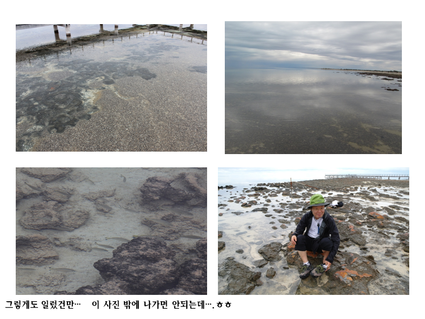 그렇게도 알렸건만.png