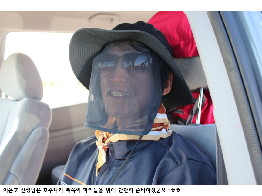 호주나라 북쪽파리.png