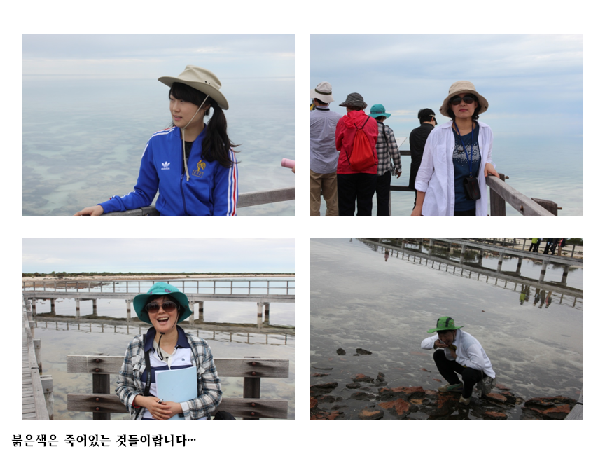 슬라이드73.PNG