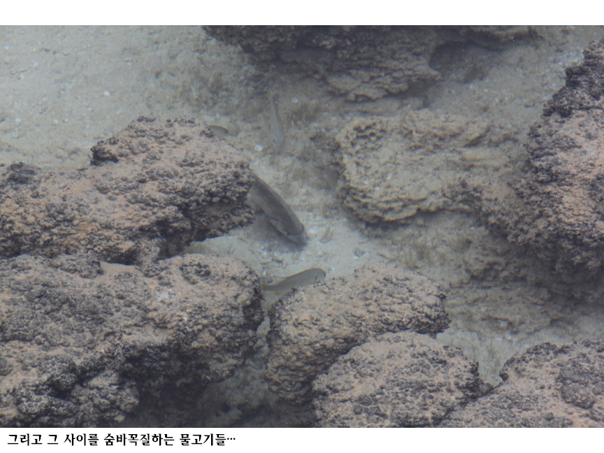 슬라이드61.PNG