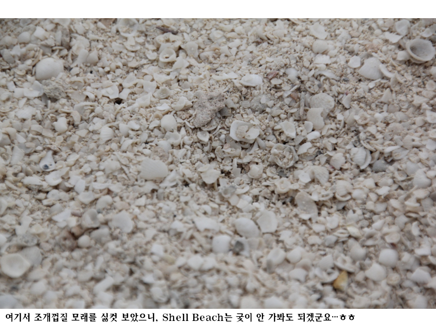슬라이드47.PNG
