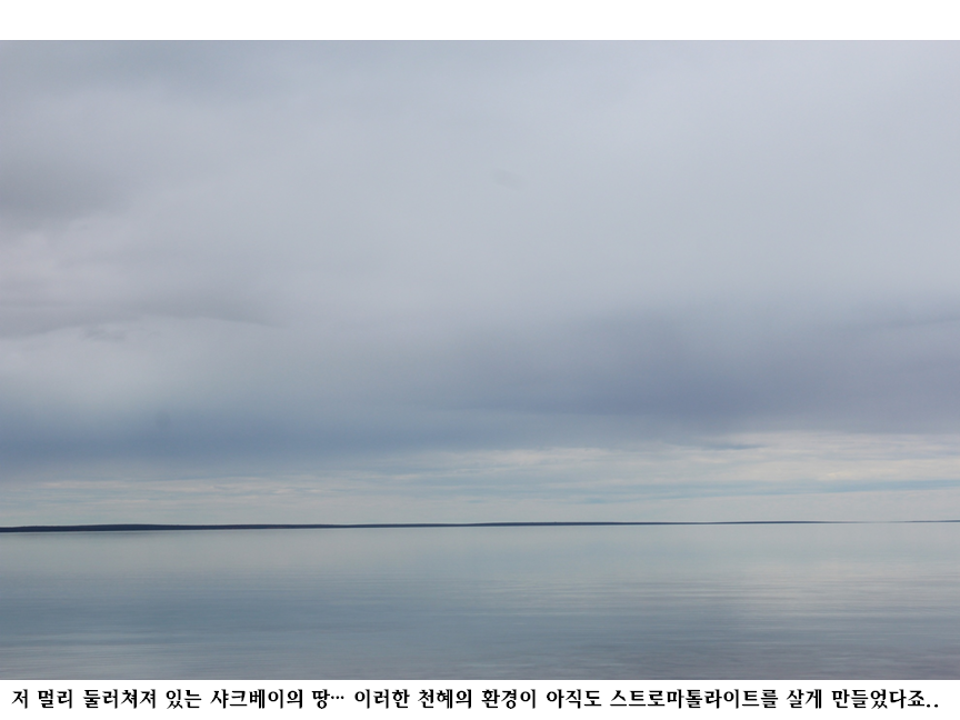 슬라이드81.PNG