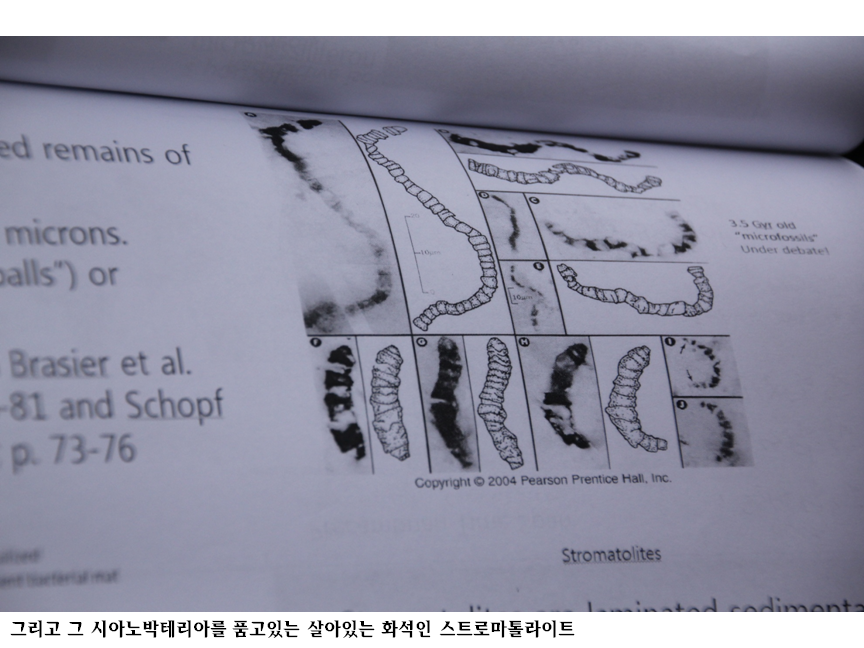 슬라이드34.PNG