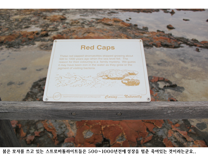 슬라이드62.PNG