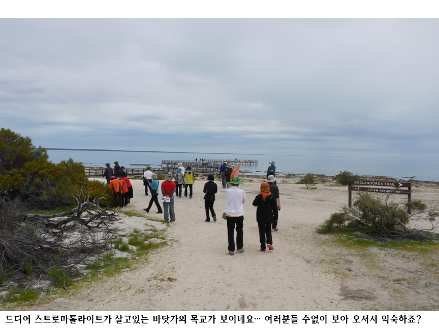 슬라이드41.PNG