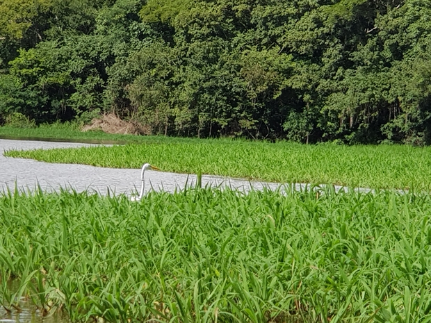최고품질KakaoTalk_20200115_102805197_30.jpg