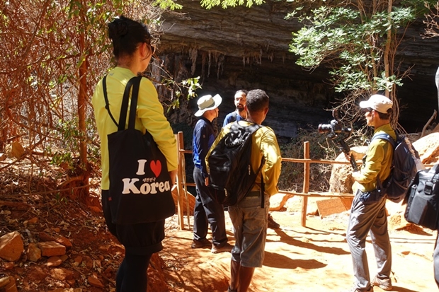 최고품질브라질이과수폴328-20200116-044252.JPG