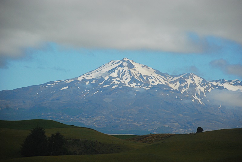 DSC_0898.JPG