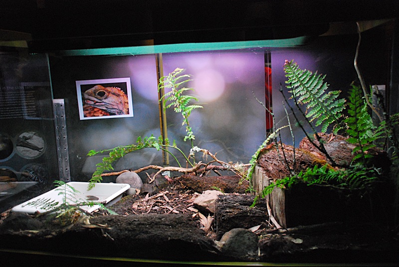 DSC_0925.JPG