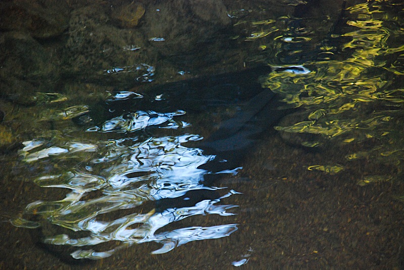 DSC_0086.JPG