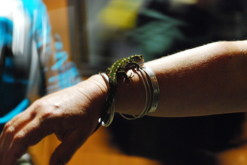 DSC_0076.JPG
