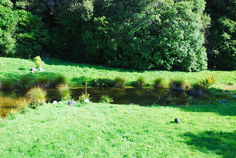 DSC_1007.JPG