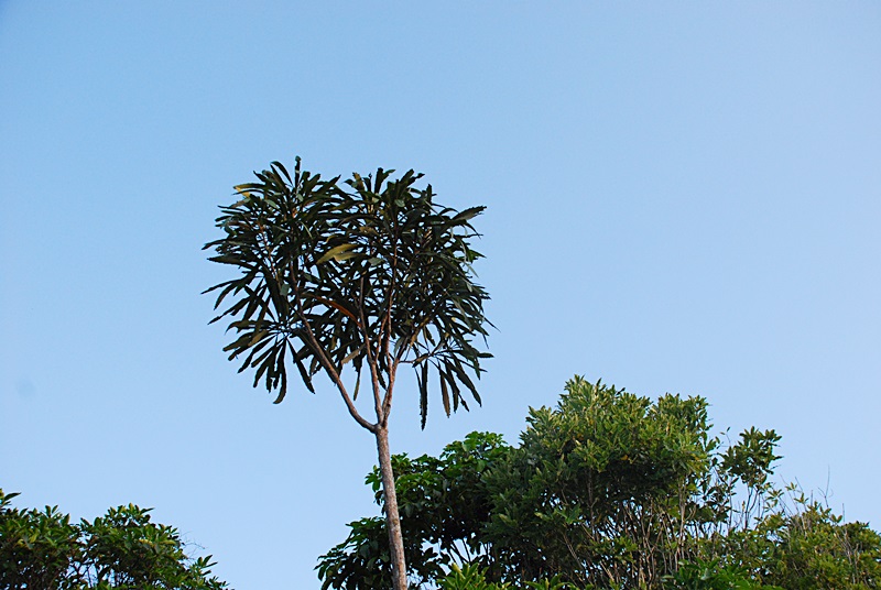 DSC_0167.JPG
