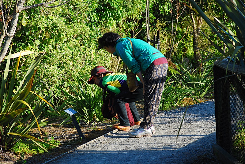 DSC_0150.JPG